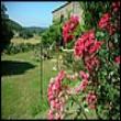 B&B Podere Costa Romana